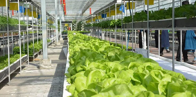 卡鉗式可摘掛抱索器抱爪的厚度多少合適？